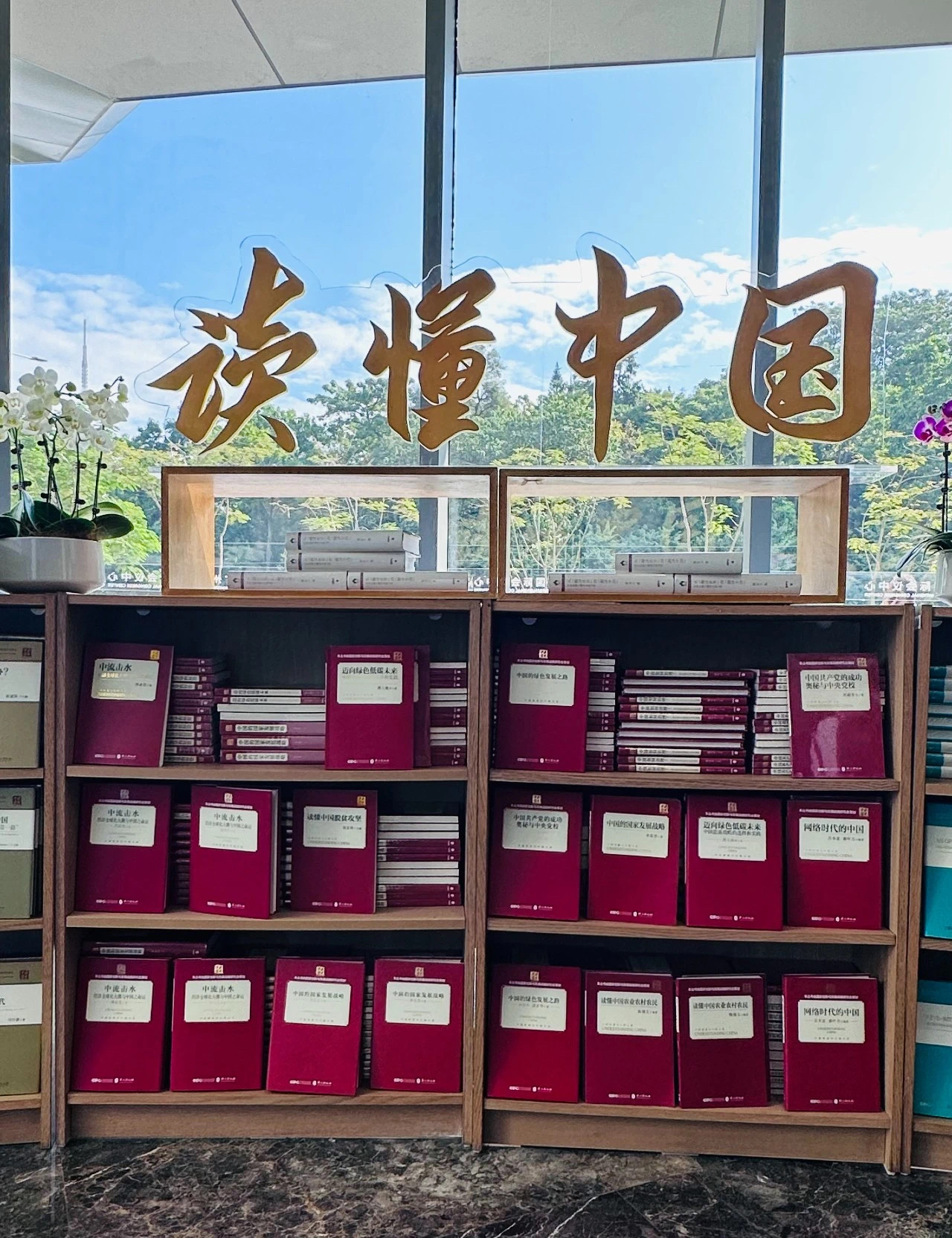 1701646929622497.jpg aa3617e0-9c49-4c1f-b470-892c616f009f.jpg